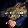 Cover Walter Trout - The Blues Came Callin`